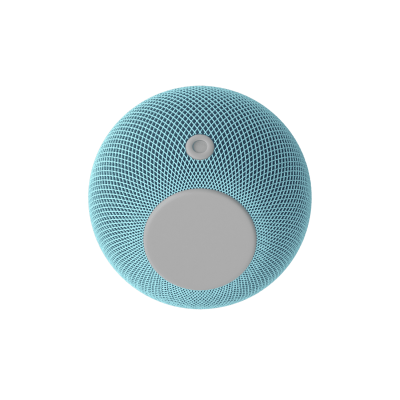 Voice Assistant