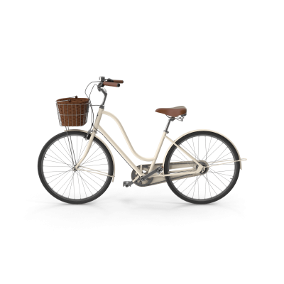 City Bike with Basket